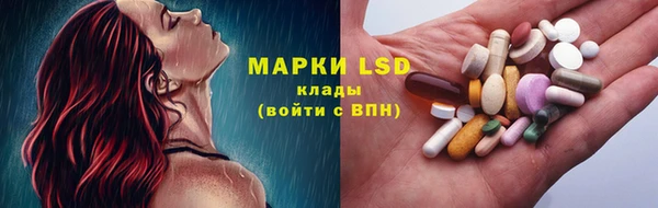 ПСИЛОЦИБИНОВЫЕ ГРИБЫ Армянск