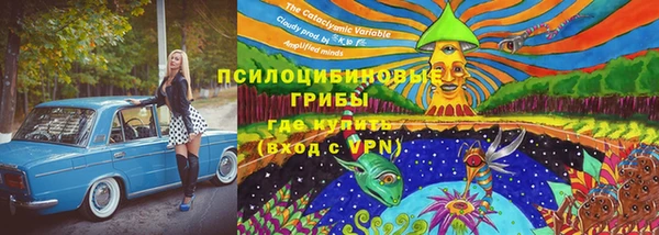 a pvp Аркадак