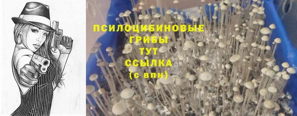 ПСИЛОЦИБИНОВЫЕ ГРИБЫ Армянск