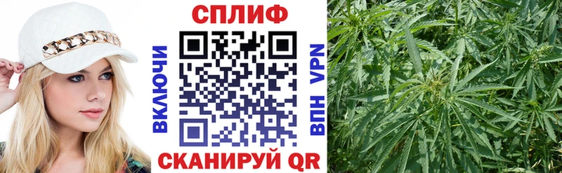 kraken ССЫЛКА  нарко площадка официальный сайт  МАРИХУАНА AK-47  Каневская 